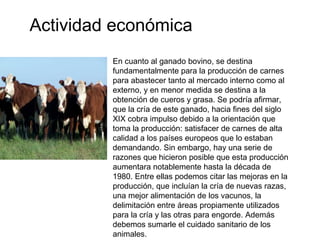 .
Actividad económica
En cuanto al ganado bovino, se destina
fundamentalmente para la producción de carnes
para abastecer tanto al mercado interno como al
externo, y en menor medida se destina a la
obtención de cueros y grasa. Se podría afirmar,
que la cría de este ganado, hacia fines del siglo
XIX cobra impulso debido a la orientación que
toma la producción: satisfacer de carnes de alta
calidad a los países europeos que lo estaban
demandando. Sin embargo, hay una serie de
razones que hicieron posible que esta producción
aumentara notablemente hasta la década de
1980. Entre ellas podemos citar las mejoras en la
producción, que incluían la cría de nuevas razas,
una mejor alimentación de los vacunos, la
delimitación entre áreas propiamente utilizados
para la cría y las otras para engorde. Además
debemos sumarle el cuidado sanitario de los
animales.
 