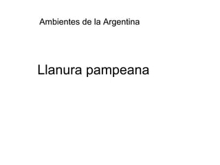 Llanura pampeana
Ambientes de la Argentina
 