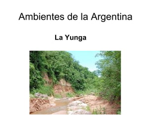 Ambientes de la Argentina
La Yunga
 