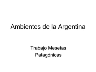 Ambientes de la Argentina
Trabajo Mesetas
Patagónicas
 