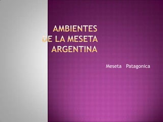Meseta Patagonica
 