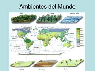 Ambientes del Mundo
 