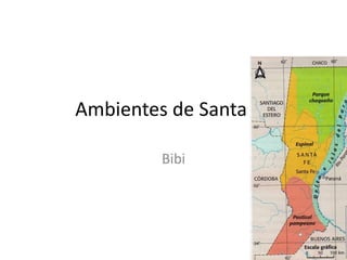 Ambientes de Santa Fe
Bibi
 