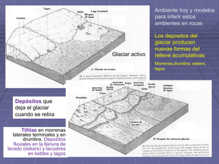 Ambiente hoy y modelos
para inferir estos
ambientes en rocas
Glaciar activo
Depósitos que
deja el glaciar
cuando se retira
Tillitas en morrenas
laterales terminales y en
drumlins. Depositos
fluviales en la llanura de
lavado (eskers) y lacustres
en kettles y lagos
Los depositos del
glaciar producen
nuevas formas del
relieve acumulativas:
Morrenas,drumlins, eskers,
lagos
 