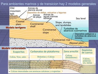 Modelo terrígeno
Trinchera
Planicie abisal
Cordillera
oceánica
Calizas intercaladas con areniscas calcáreas y evaporitas
Evaporitas
Caliza, Yeso, sales
Carbonatos de plataforma
Dolomías y Calizas
Zona arrecifal
Calizas
(boundstone)
Depósitos
de cuenca
Calizas,
pedernal,
ars, lutitas
Modelo carbonatado
Para ambientes marinos y de transicion hay 2 modelos generales
Arenas de
planicie aluvial
Depositos de deltas, estuarios y lagunas
Arenas
de playa
Arenas de
aguas marinas
someras
Turbiditas de
abanicos submarinos
Depositos pelágicos y
turbiditas de abanicos
distales
 