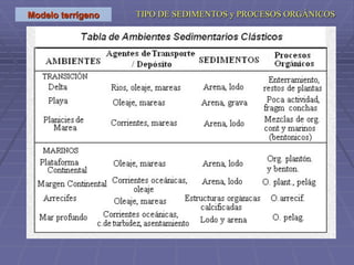 Modelo terrígeno TIPO DE SEDIMENTOS y PROCESOS ORGÁNICOS
 
