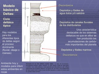Secuencia de un ciclo deltaico marino típico. La base de la secuencia
normalmente contiene fósiles marinos; la cima incluye fósiles de agua dulce
y salobre. Los ciclos deltaicos están separados por discordancias que reflejan
migraciones de los lóbulos deltaicos. El espesor de los ciclos varía ampliamente:
de unos cuantos metros para el caso de deltas lacustres, a cientos de metros para
los grandes deltas marinos.
Modelo
básico de
Deltas:
Ciclo
deltáico
típico
Depósitos y fósiles marinos
Depósitos y fósiles de
agua dulce y/ó salobre
Discordancia
Discordancia
Ambiente hoy y
modelos para inferir
estos ambientes en
rocas
Depósitos de canales fluviales
de los distributarios
Hay modelos
para los
diferentes tipos
de deltas según
el proceso
dominante
(fluvial, oleaje o
mareas)
Una característica
destacable de los sistemas
deltaicos es que en ellos se
han producido las
acumulaciones de carbón
más importantes del planeta
 