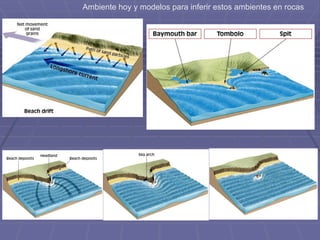 Ambiente hoy y modelos para inferir estos ambientes en rocas
 