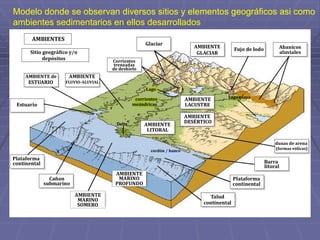Modelo donde se observan diversos sitios y elementos geográficos asi como
ambientes sedimentarios en ellos desarrollados
 