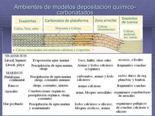 Ambientes de modelos depositación químico-
carbonatados
Trinchera
Planicie abisal
Cordillera
oceánica
Calizas intercaladas con areniscas calcáreas y evaporitas
Evaporitas
Caliza, Yeso, sales
Carbonatos de plataforma
Dolomías y Calizas
Zona arrecifal
Calizas
(boundstone)
Depósitos
de cuenca
Calizas,
pedernal,
ars, lutitas
 