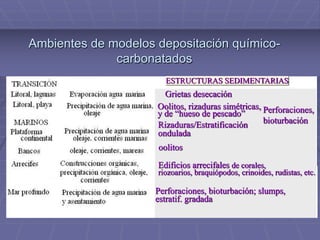 ESTRUCTURAS SEDIMENTARIAS
Grietas desecación
Oolitos, rizaduras simétricas,
y de “hueso de pescado” Perforaciones,
bioturbación
Rizaduras/Estratificación
ondulada
Edificios arrecifales de corales,
riozoarios, braquiópodos, crinoides, rudistas, etc.
Perforaciones, bioturbación; slumps,
estratif. gradada
oolitos
Ambientes de modelos depositación químico-
carbonatados
 