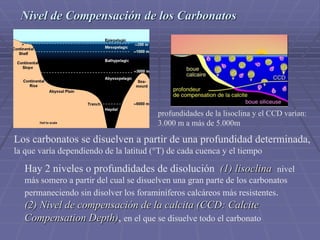 Nivel de Compensación de los Carbonatos
Los carbonatos se disuelven a partir de una profundidad determinada,
la que varía dependiendo de la latitud (°T) de cada cuenca y el tiempo
Hay 2 niveles o profundidades de disolución (1) lisoclina nivel
más somero a partir del cual se disuelven una gran parte de los carbonatos
permaneciendo sin disolver los foraminíferos calcáreos más resistentes.
(2) Nivel de compensación de la calcita (CCD: Calcite
Compensation Depth), en el que se disuelve todo el carbonato
profundidades de la lisoclina y el CCD varían:
3.000 m a más de 5.000m
 