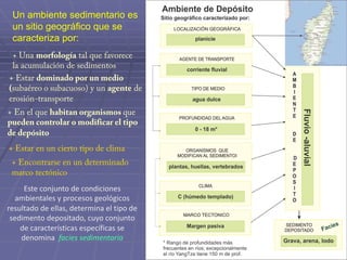 Un ambiente sedimentario es
un sitio geográfico que se
caracteriza por:
+ Una morfología tal que favorece
la acumulación de sedimentos
+ Estar dominado por un medio
(subaéreo o subacuoso) y un agente de
erosión-transporte
+ En el que habitan organismos que
pueden controlar o modificar el tipo
de depósito
+ Estar en un cierto tipo de clima
+ Encontrarse en un determinado
marco tectónico
Este conjunto de condiciones
ambientales y procesos geológicos
resultado de ellas, determina el tipo de
sedimento depositado, cuyo conjunto
de características específicas se
denomina facies sedimentaria
 