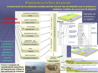 El presente es la llave del pasado
Ambiente
sedimentario
La observación de los ambientes actuales permite conocer tipo de depósitos que se producen y
establecer modelos de secuencias de depósito
Facies
El conjunto de
condiciones
ambientales y
procesos
geológicos
determina el
tipo de
sedimento
Depósitos de arena fina
Depósitos de arena gruesa y grava
Playas de fuerte .
gradiente, angosta
zona de oleaje
Sistemas sedimentarios cortos.
sistemas sedimentarios largos, amplias planicies costeras
Playas de poco
gradiente, amplia zona
de oleaje
Ejemplos de
ambientes y
su registro
Playa
Laguna
Facies = conjunto de
características especificas
del deposito que reflejan el
tipo particular de ambiente
 
