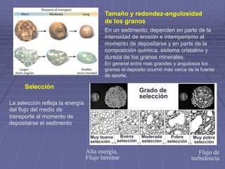 Alta energía,
Flujo laminar
Flujo de
turbulencia
Tamaño y redondez-angulosidad
de los granos
Selección
En un sedimento, dependen en parte de la
intensidad de erosión e intemperismo al
momento de depositarse y en parte de la
composición química, sistema cristalino y
dureza de los granos minerales.
En general entre mas grandes y angulosos los
granos el deposito ocurrió más cerca de la fuente
de aporte.
Grado de
selección
Muy buena
selección
Buena
selección
Moderada
selección
Pobre
selección
Muy pobre
selección
La selección refleja la energía
del flujo del medio de
transporte al momento de
depositarse el sedimento
 