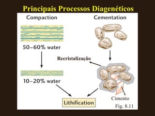 Fig.   8.11 Recristalização Cimento Principais Processos Diagenéticos 