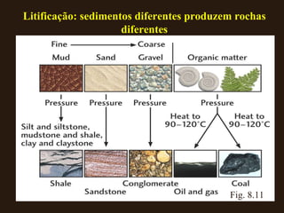 Fig. 8.11 Litificação: sedimentos diferentes produzem rochas diferentes 