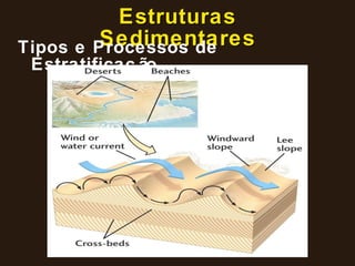 Estruturas Sedimentares Tipos e Processos de Estratificação 