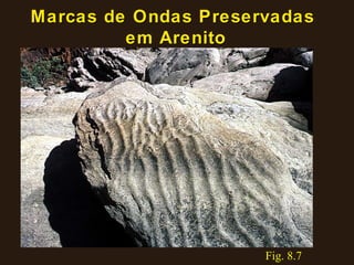 Marcas de Ondas Preservadas em Arenito Fig. 8.7 