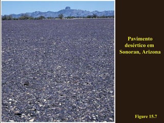 Figure 15.7 Pavimento desértico em  Sonoran, Arizona 