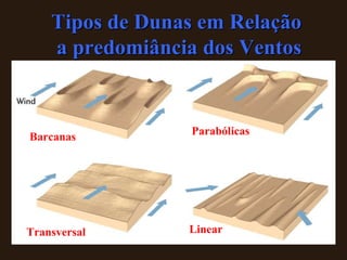 Tipos de Dunas em Relação a predomiância dos Ventos Barcanas Parabólicas Transversal Linear 