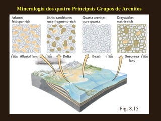 Fig. 8.15 Mineralogia dos quatro Principais Grupos de Arenitos 