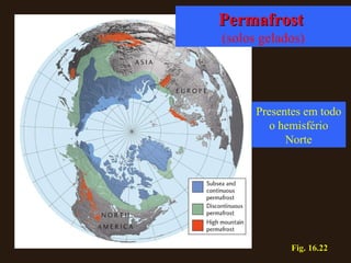 Fig. 16.22 Permafrost   (solos gelados) Presentes em todo o hemisfério Norte 