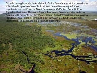 Situada na região norte da América do Sul, a floresta amazônica possui uma extensão de aproximadamente 7 milhões de quilômetros quadrados, espalhada por territórios do Brasil, Venezuela, Colômbia, Peru, Bolívia, Equador, Suriname, Guiana e Guiana Francesa. Porém, a maior parte da floresta está presente em território brasileiro (estados do Amazonas, Amapá, Rondônia, Acre, Pará e Roraima). Em função de sua biodiversidade e importância, foi apelidada de o "pulmão do mundo".  