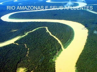 RIO AMAZONAS E SEUS AFLUENTES 