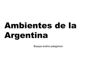 Ambientes de la
Argentina
Bosque andino patagónico
 