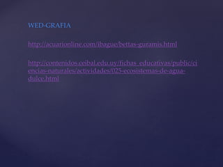 WED-GRAFIA
http://acuarionline.com/ibague/bettas-guramis.html
http://contenidos.ceibal.edu.uy/fichas_educativas/public/ci
encias-naturales/actividades/025-ecosistemas-de-agua-
dulce.html
 