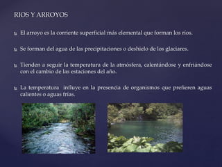 RIOS Y ARROYOS
 El arroyo es la corriente superficial más elemental que forman los ríos.
 Se forman del agua de las precipitaciones o deshielo de los glaciares.
 Tienden a seguir la temperatura de la atmósfera, calentándose y enfriándose
con el cambio de las estaciones del año.
 La temperatura influye en la presencia de organismos que prefieren aguas
calientes o aguas frías.
 