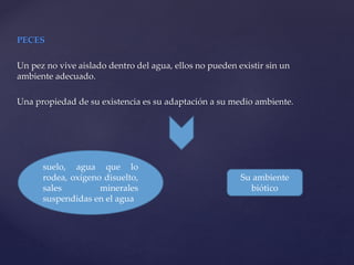 PECES
Un pez no vive aislado dentro del agua, ellos no pueden existir sin un
ambiente adecuado.
Una propiedad de su existencia es su adaptación a su medio ambiente.
suelo, agua que lo
rodea, oxígeno disuelto,
sales minerales
suspendidas en el agua
Su ambiente
biótico
 
