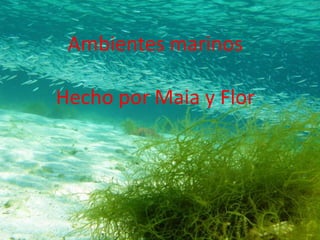 Ambientes marinos 
Hecho por Maia y Flor 
 