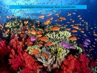 Los ambientes marino creado por: Rocio Lunardelli Aller 
 