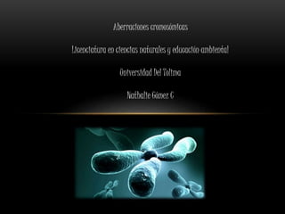 Aberraciones cromosómicas
Licenciatura en ciencias naturales y educación ambiental
Universidad Del Tolima
Nathalie Gómez C
 