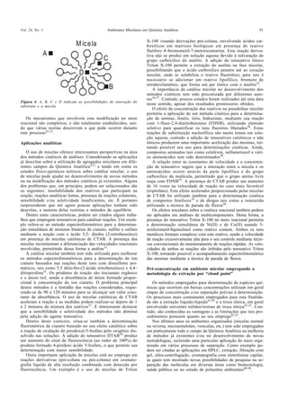 Vol. 24, No. 1 Ambientes Micelares em Química Analítica 91
Os mecanismos que envolvem esta modificação no meio
reacional s...