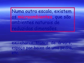 Numa outra escala, existem
os microambientes, que são
ambientes naturais de
reduzidas dimensões.
ex.: charco, tronco de árvore,
espaço por baixo de uma pedra,
etc.

 