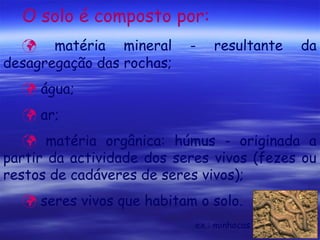 O solo é composto por:
 matéria mineral
desagregação das rochas;

-

resultante

da

 água;
 ar;
 matéria orgânica: húmus - originada a
partir da actividade dos seres vivos (fezes ou
restos de cadáveres de seres vivos);
 seres vivos que habitam o solo.
ex.: minhocas

 