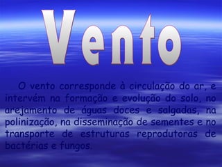 O vento corresponde à circulação do ar, e
intervém na formação e evolução do solo, no
arejamento de águas doces e salgadas, na
polinização, na disseminação de sementes e no
transporte de estruturas reprodutoras de
bactérias e fungos.

 