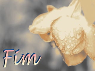 Ambientes naturais e ecossistemas