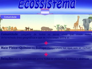 Comunidade

Comunidade: conjunto de todos os seres vivos que vivem numa
determinada área geográfica e que se relacionam entre si.

+

Meio Físico-Químico ou Biótopo

(temperatura, luz, água, solo, ar, rochas)

+

Relações que se estabelecem entre todos os elementos: bióticas e abióticas

 