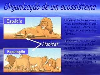 Espécie

Espécie: todos os seres
vivos semelhantes e que
se cruzam entre si
originando descendentes
férteis.

Habitat
População

Habitat: local onde vive
determinada população
ou um só ser vivo.

População: conjunto de

organismos da mesma
espécie que ocupam o
mesmo habitat.

 