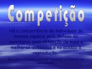 Há a concorrência de indivíduos da
mesma espécie pela defesa do
território, pela obtenção de mais e
melhores alimentos e no acesso à
reprodução.
Em casos extremos pode ser agressiva culminando no
canibalismo.

 