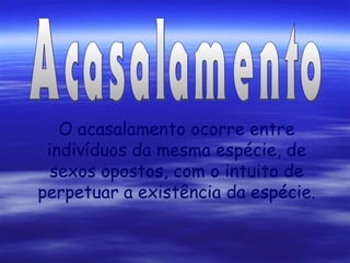 O acasalamento ocorre entre
indivíduos da mesma espécie, de
sexos opostos, com o intuito de
perpetuar a existência da espécie.

 