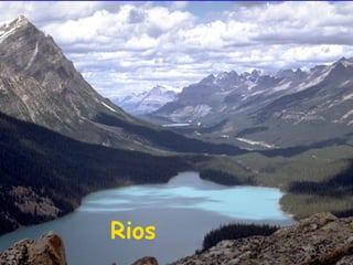 Rios

 