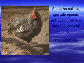 Ainda há outros,
que são apenas
activos durante o
dia (enquanto há
luz).
ex.: galinhas.

 
