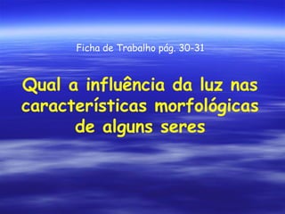 Ficha de Trabalho pág. 30-31

Qual a influência da luz nas
características morfológicas
de alguns seres

 