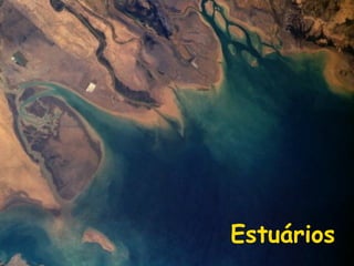 Estuários

 
