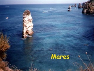 Mares

 